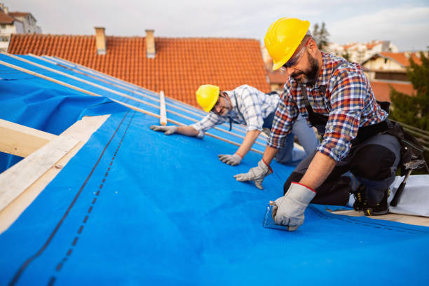 Best Storm Damage Roof Repair  in Shady Shores, TX
