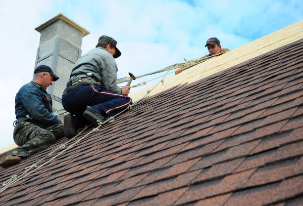 Best Roof Gutter Cleaning  in Shady Shores, TX